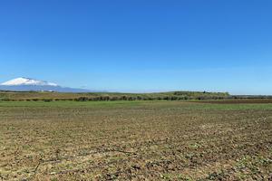 Azienda agricola biologica Ramacca