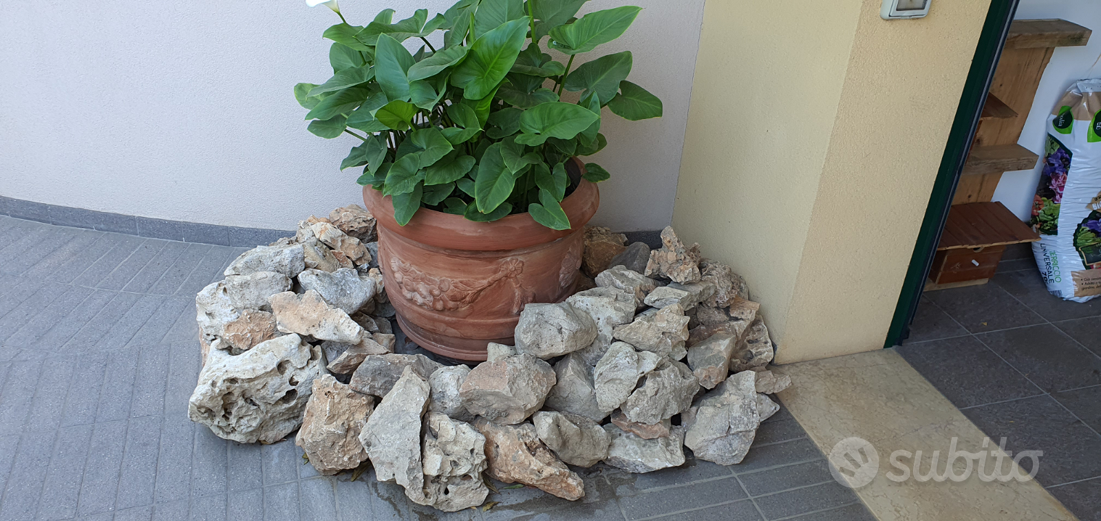 100g pietre rocce di fiume lucidate per acquario ornamentale pietre di ghiaia  per piante in vaso piante grasse Bonsai Fairy Garden fai da te P5 -  AliExpress