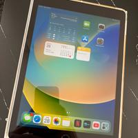 IPad Pro 9,7” pari al nuovo!