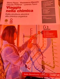 Libro" viaggio nella chimica"
