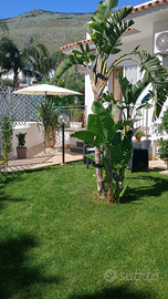 Casa al mare