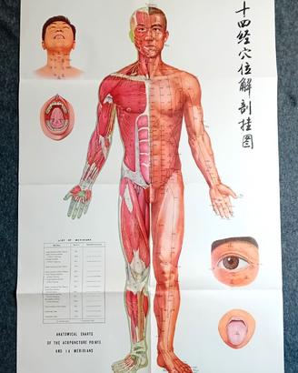 Set 6 manifesti agopuntura anni '70 Cina