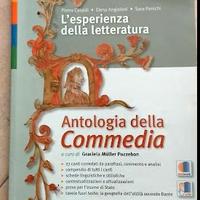 Libro esperienza letteratura - ISBN 9788880208181