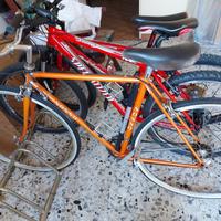 Bici city bike Sosso