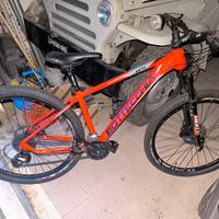 mtb  bottecchia 