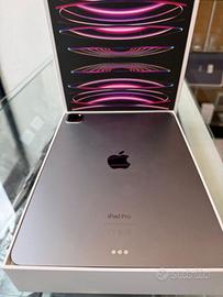 ipad pro 11” 4th gen M2 256gb wifi cell