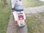 Immagine 3