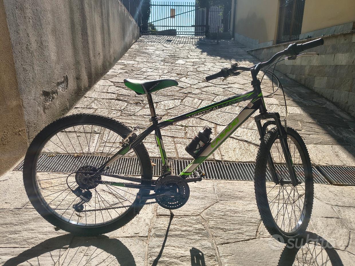 cicli stefanelli negozio bici corso regina