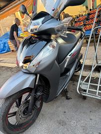 SH 300 2017 sport