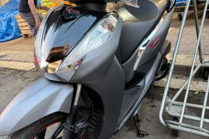 SH 300 2017 sport