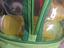 Immagine 2