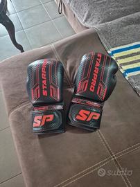 Guanti da Boxe con trama in Fibra di Carbonio 16oz