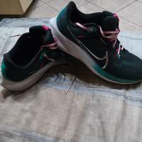 Nike Pegasus 40