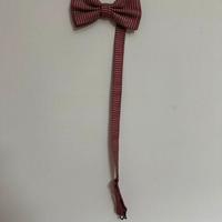 Papillon bordeaux a pois