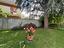 Immagine 23