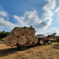 Carrellone agricolo