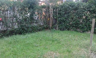 Marina di Carrara con giardino