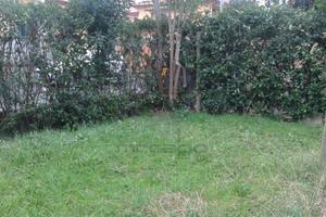 Marina di Carrara con giardino