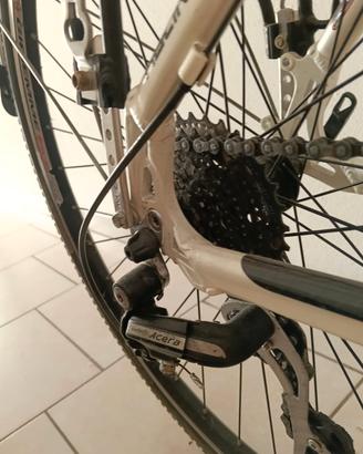 bici da trekking