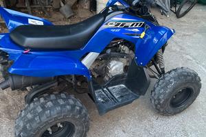 Quad yamaha