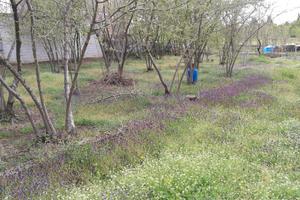 Terreno agricolo pianeggiante