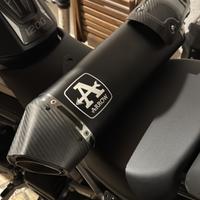 Arrow per tiger 1200