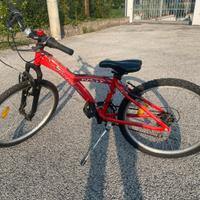 Bicicletta ragazzo NSR King Scorpion