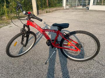 Bicicletta ragazzo NSR King Scorpion