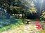 Immagine 18