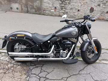 Harley davidson softail slim