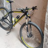 Bici mountain bike