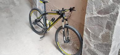 Bici mountain bike