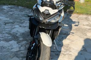 Splendida triumph street triple 765R