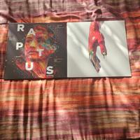 vinili nayt raptus 3 , e raptus 