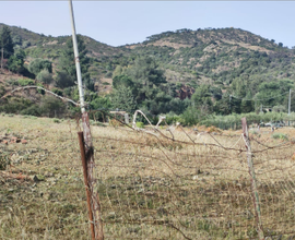 Terreno agricolo zona Solemins Monte Arrubiu