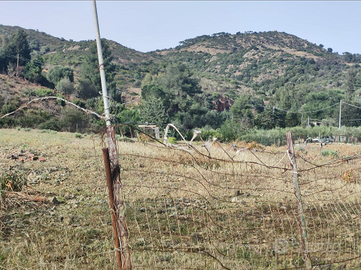 Terreno agricolo zona Solemins Monte Arrubiu