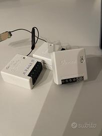 Sonoff mini 2 pz + Omaggio 1 sonoff mini CP