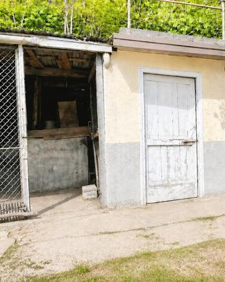 Fabbricato e terreno agricolo mq. 1100