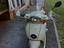 Immagine 1