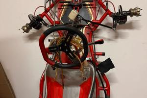 Telaio maranello 2019 rs10 kz