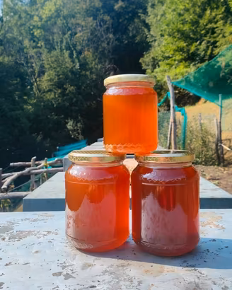 Vaso di miele