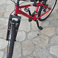 Decathlon Samurai  RR 5.0 da 24"