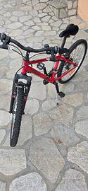 Decathlon Samurai  RR 5.0 da 24"
