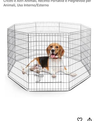 Box/recinto per cani