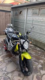 Suzuki SFV Gladius 650 - 2010
