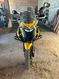 Benelli trk502x