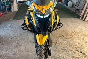 Benelli trk502x