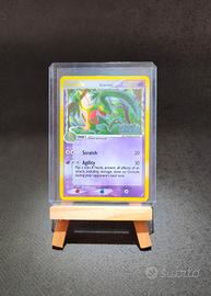 Carta Pokémon Grovyle 19 CG Stamped Eng Nm-