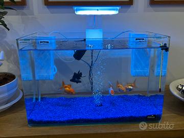 Acquario 20L Zolux Clear 40 completo di accessori