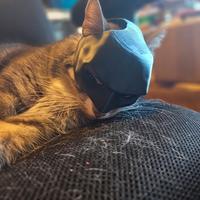 batman cat mask, maschera per gatto batman